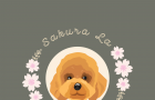 Sakura la dog grooming salon
